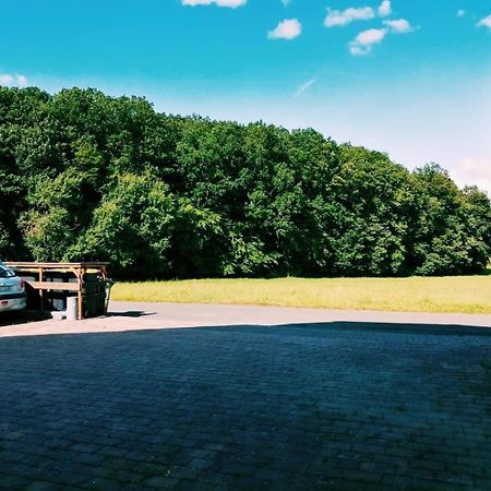 Apartament 76 Qm Whg Im Eg Haus-Wohlfuehloase Vor Der Haustuer Gladenbach Zewnętrze zdjęcie